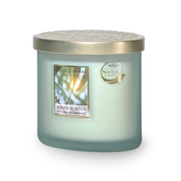 Twin Wick Soy Wax Candle - Botanical Breeze