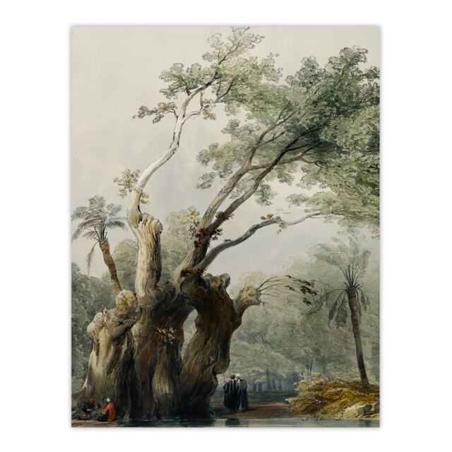 "The Holy Tree of Metereah D. Roberts Vintage Huge Wall Art Poster Print 24X32"""
