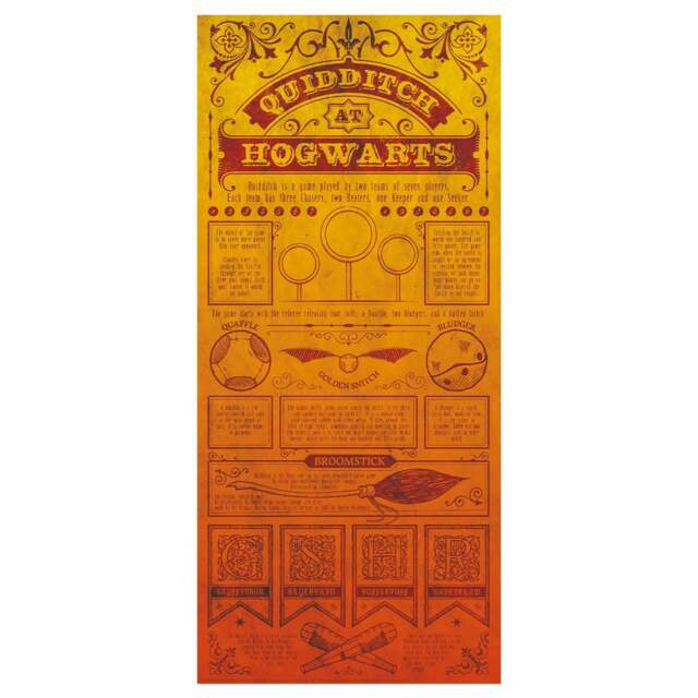 Harry Potter Limited Edition Quidditch Art Print