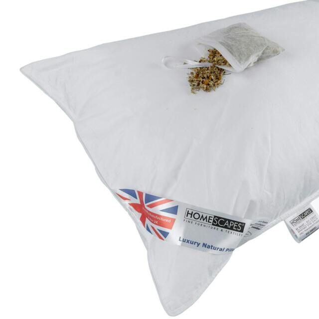 "Homescapes Goose Feather and Down Camomile Pillow with Dried Camomile Insert Extra Fill White 48cm x 74cm (19"" x 29"")"