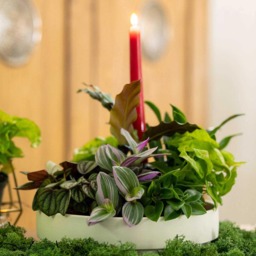 Marshalls Garden Medium Grey Orbital Candle Holder