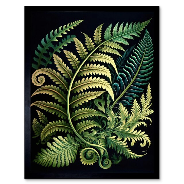 "Ernst Haeckel Style Fern Fronds Leaf 12x16"" Framed Wall Art Print"