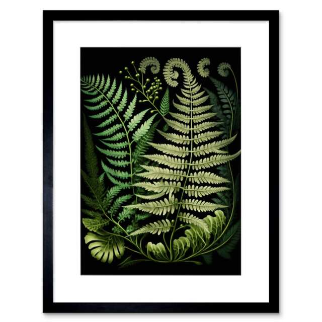"Ernst Haeckel Style Botanical Fern Fronds Plant Lover 9x7"" Black Framed Wall Art Print"