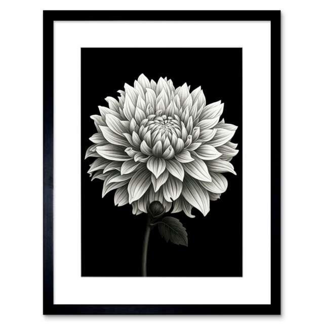 "Blooming Dahlia Flower Black White Floral 9x7"" Black Framed Wall Art Print"