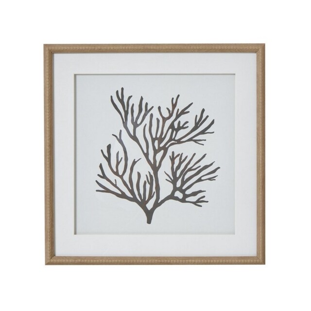 Reef Coral Art Mounted in Beaded Frame - Glass - L2 x W40 x H40 cm - Brown Brown Not provided