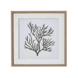 Reef Coral Art Mounted in Beaded Frame - Glass - L2 x W40 x H40 cm - Brown Brown Not provided