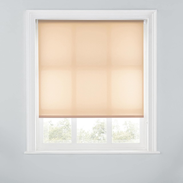 A.Unique Home Premium Trimmable Daylight Roller Window Blind - Light Filtering Fabric - 4FT - MOCHA - 120CM (W) x 170CM (L)
