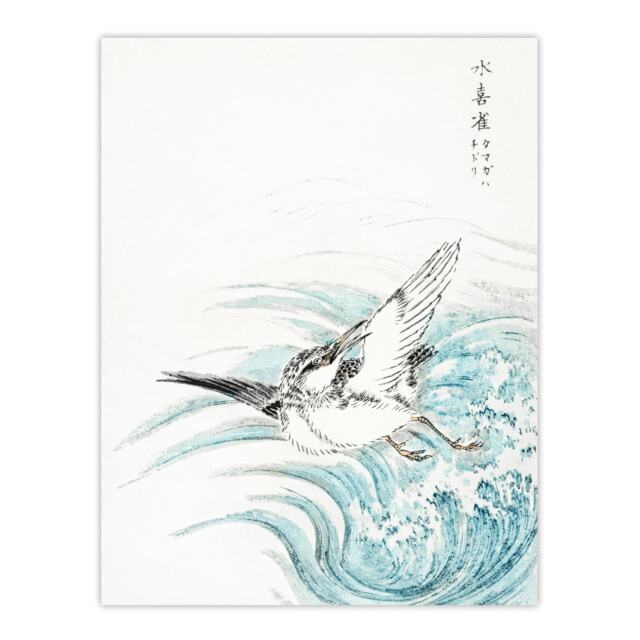 "Mongolian Plover Japanese Vintage Japan Wall Art Print Kashu 18x24"""