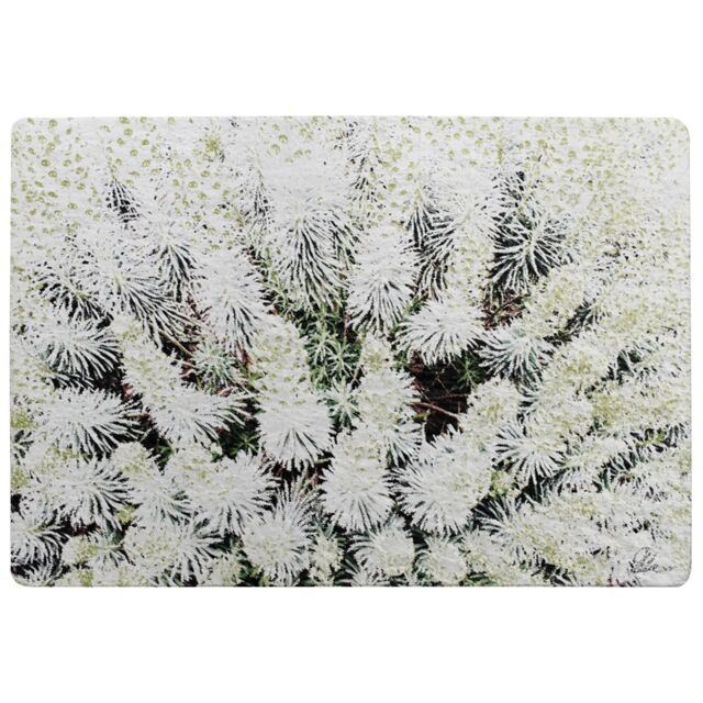 Beautifully White Rug Multi