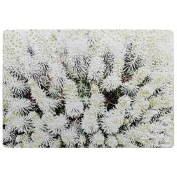 Beautifully White Rug Multi