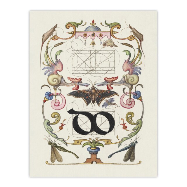 "Ligature Guide with Butterfly Calligraphy Wall Art Poster Print 12X16"""
