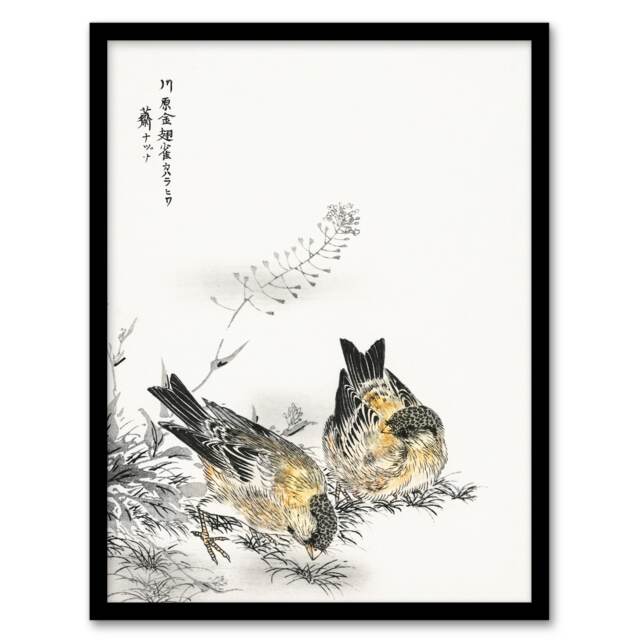 "Greenfinch and Shepherd's Purse Plant Vintage Framed Wall Art Print Kashu 12x16"""