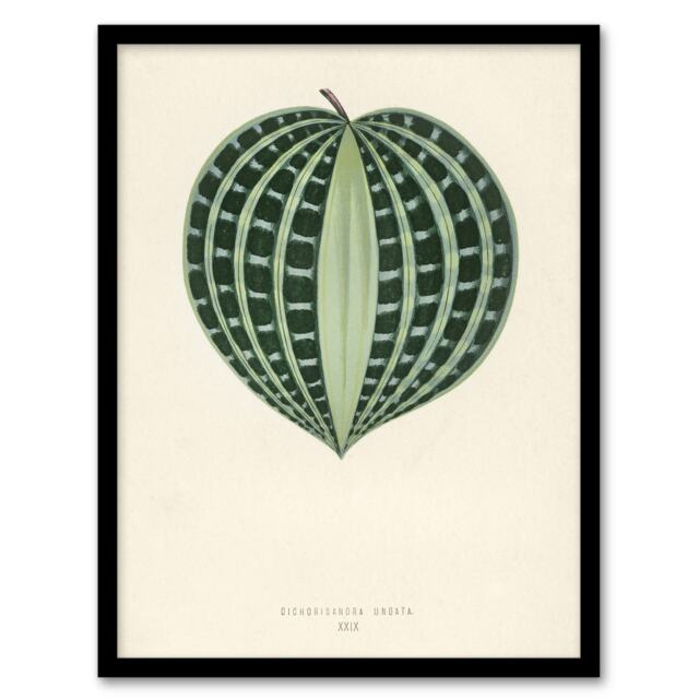 "Vintage Botanical Seersucker Plant Leaf Fawcett Framed Wall Art Print 12X16"""