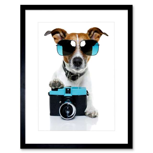 "Jack Russell Dog Shades Photographer Home Decor 12x16"" Framed Wall Art Print"