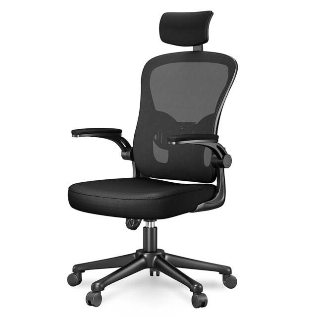 Rattantree Ergonomic Office Chair With Headrest & Lumbar Support