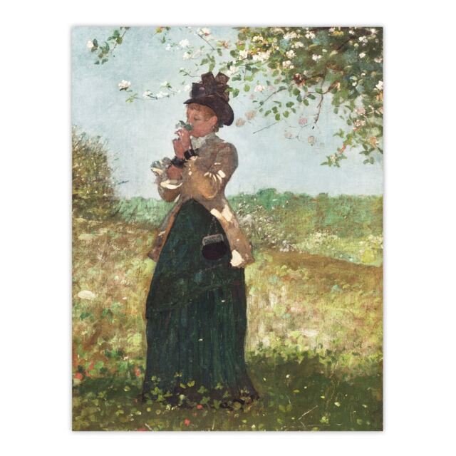 Young Woman in a Yellow Jacket Winslow Homer Huge Wall Art Print 18X24 In