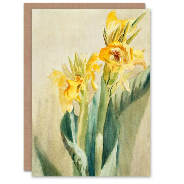 Hannah Borger Overbeck Art Card Yellow Canna Lily Flowers
