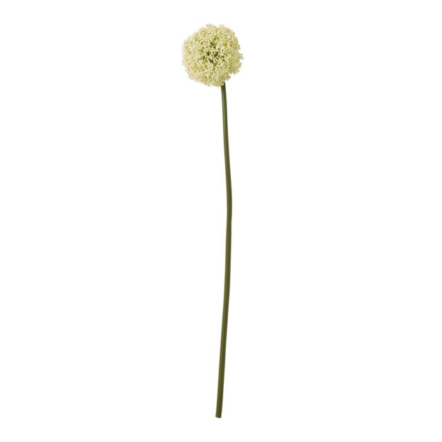 Hill Interiors Allium Stem Artificial Plant - Cream - 75cm