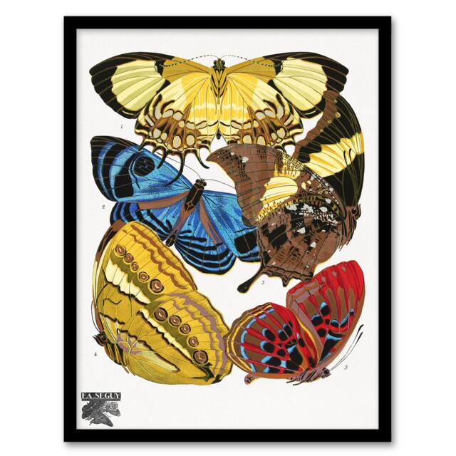 Eugene Seguy Framed Wall Art Vintage Butterflies Yellow Red Blue Home Décor