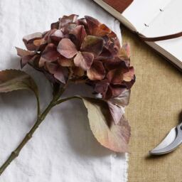 Hill Interiors Hydrangea Artificial Plant Brown Brown One Size 1