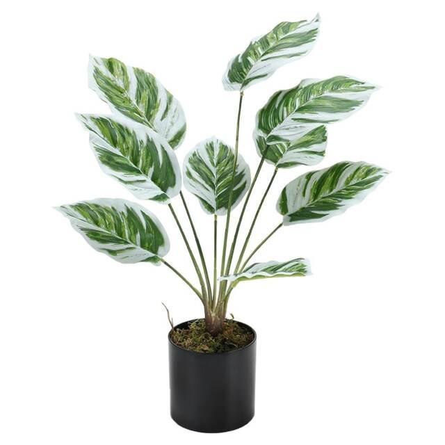 Living and Home Potted Fake Plants Artificial Calathea White Fusion