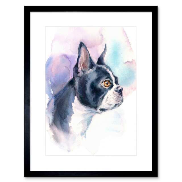 "Boston Terrier Pet Watercolour Dog Lover Gift 9x7"" Black Framed Wall Art Print"