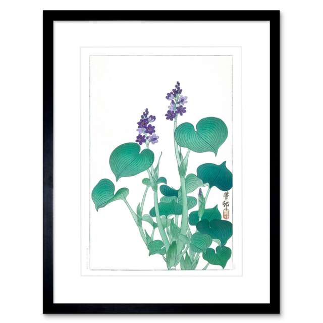 "Blooming Hosta Ohara Koson Botanical Plant Lover 9x7"" Black Framed Wall Art Print"
