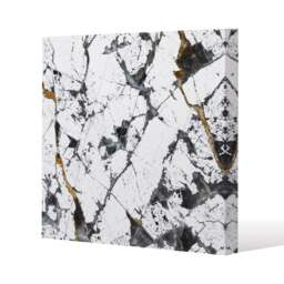 Black & Gold Marble (Canvas Print) / 61 x 61 x 4cm Multi