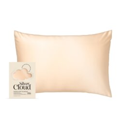 Silver Cloud Silver Ion Infused Satin Pillowcase Caramel