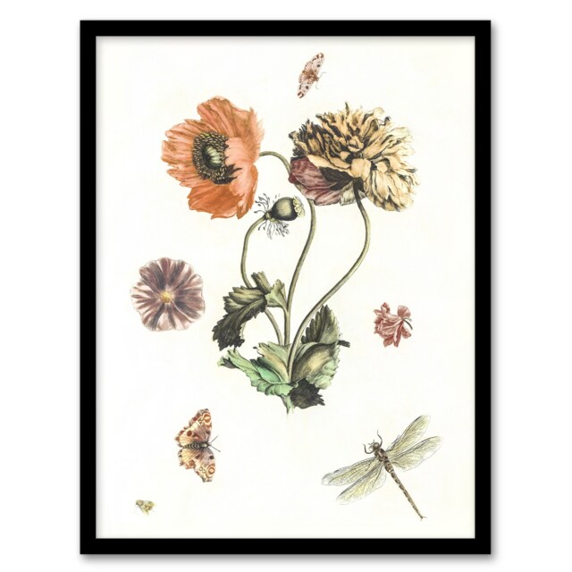 "Poppies Butterflies and Dragonfly Teyler Framed Wall Art Print 12X16"""