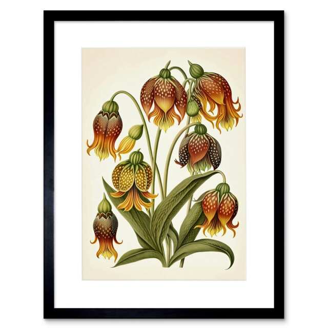 "Ernst Haeckel Fantasy Fritillaria Flower Watercolour 9x7"" Black Framed Wall Art Print"