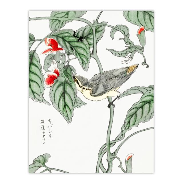 "Tree Creeper Pea Japanese Vintage Japan Wall Art Print Kashu 12x16"""