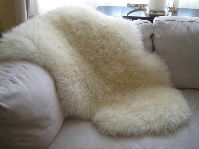 SNUGRUGS Genuine Single Pelt Sheepskin Rug Cream Natural 100cm x 60cm