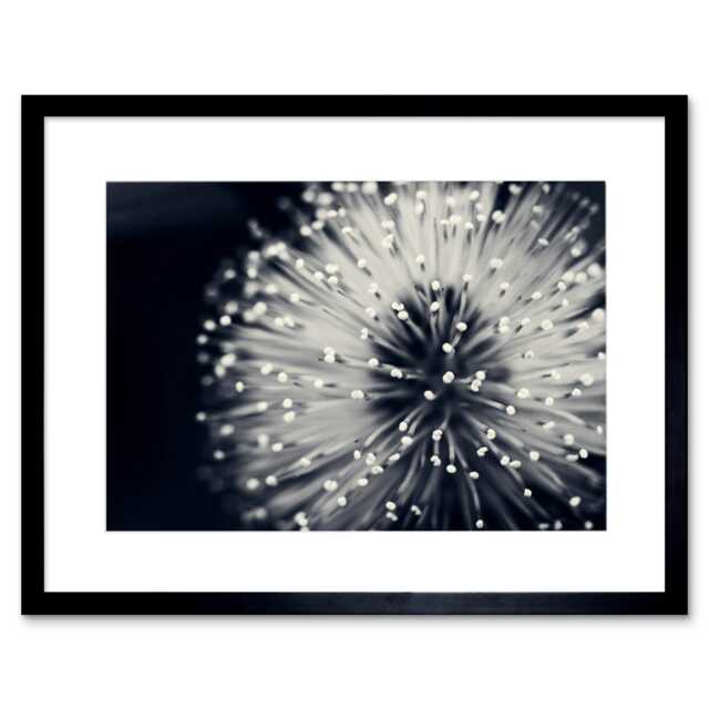 "Floral Bloom Flower Black White Photo Home Decor 12x16"" Framed Wall Art Print"