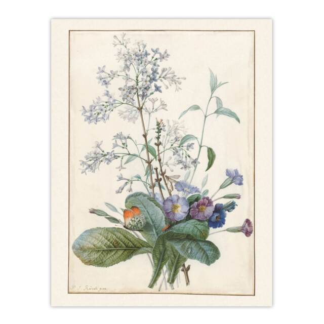 Bouquet of Flowers with Insects Redoute Vintage Huge Wall Art Print 18X24 In