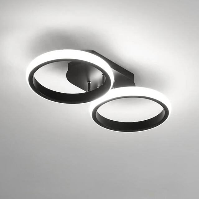 LED Mounted Ceiling Lamp Decorative Lights Black
