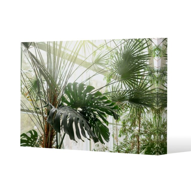 Green plants in botanical garde (Canvas Print) Cream