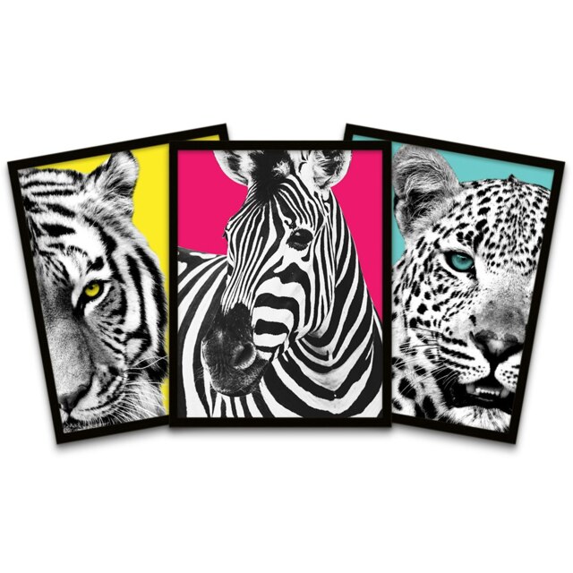Tiger Zebra Leopard Animals Close Up Colourful Framed Pack Of 3 Wall art Print Home Decor