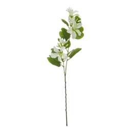 Hill Interiors Bauhinia Orchid Spray Artificial Flower - Cream/Green - One Size