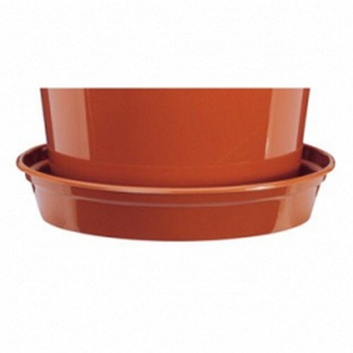 Stewart Plant Saucer - Terracotta - 12in