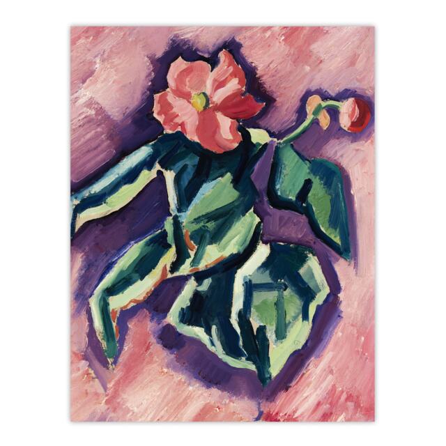 Pink Begonias Abstract Painting Hartley Huge Wall Art Poster Print