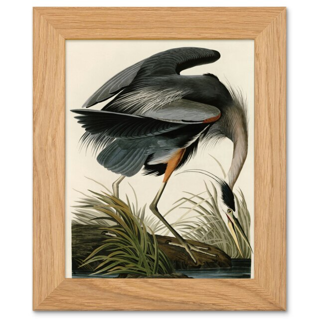 John James Audubon Great Blue Heron Art Oak Wood Framed Wall Print