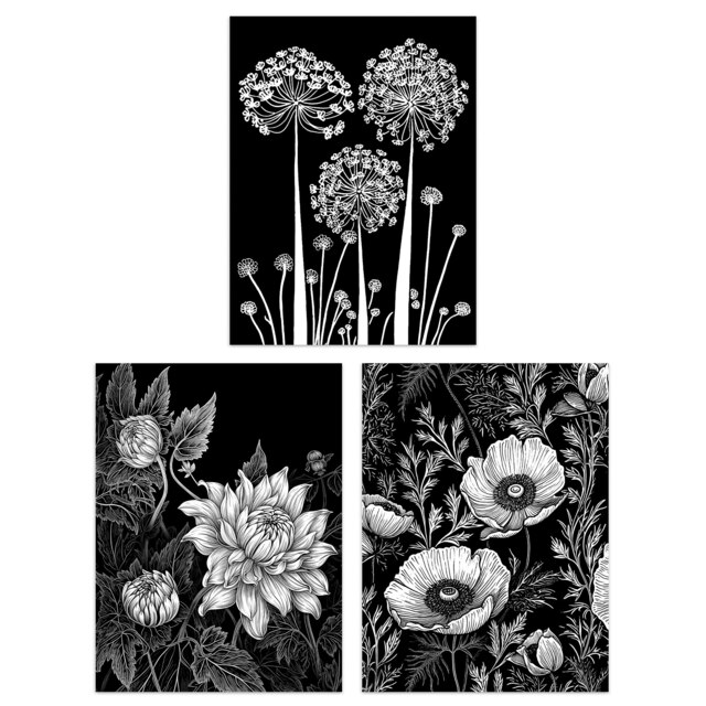 Set of 3 Elegant Allium Anemone Dahlia Flowers Floral Black White Wall Art Print A4
