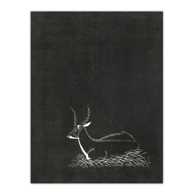 "Stylised Waterbuck Painting De Mesquita Wall Art Poster Print 12X16"""