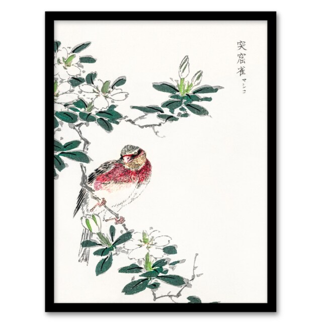 Numata Kashu Framed Wall Art Print Long Tailed Rosefinch Japanese Home Décor