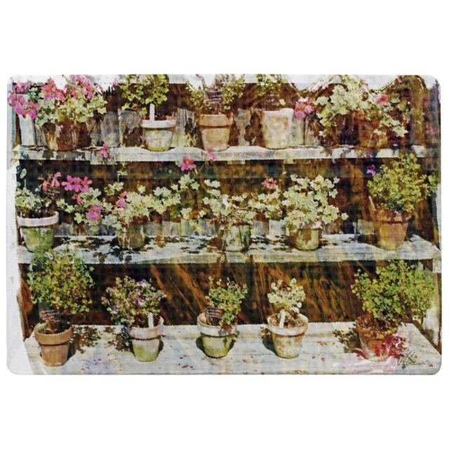 Plant Pots Rug Multi