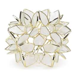 ValueLights Reine Clear Glass Flower Ceiling Shade and Bulb