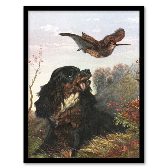 "Cocker Spaniel Dog and Woodcock Arthur Tait Framed Wall Art Print 12X16"""