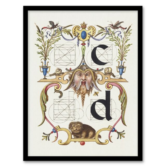 "Pictoral Letter Guide C And D Calligraphy Framed Wall Art Print 12X16"""