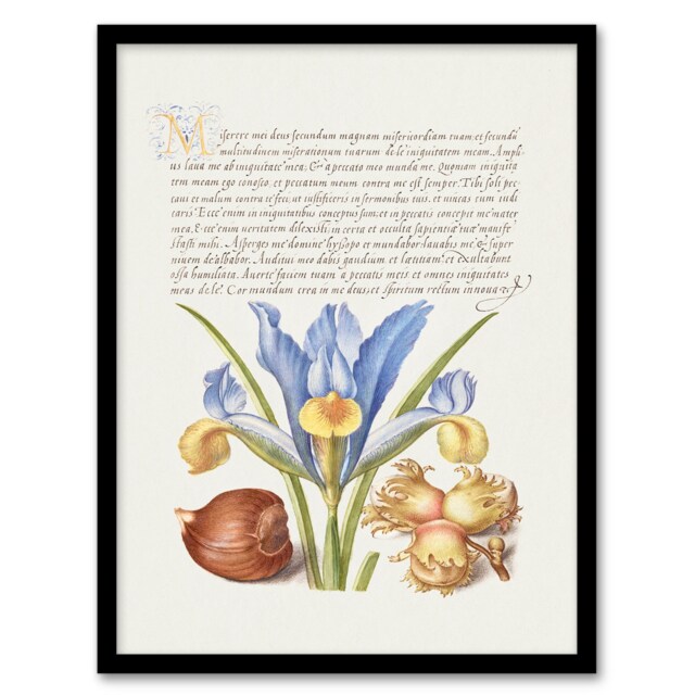 Model Book of Calligraphy Framed Wall Art Iris Flower and Hazelnut Home Décor